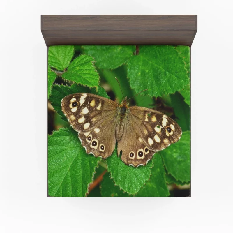 Nature Artistry Butterfly Beauty Fitted Sheet 1