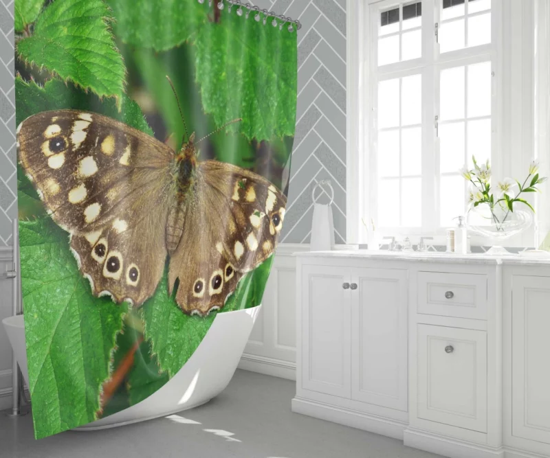 Nature Artistry Butterfly Beauty Shower Curtain 1