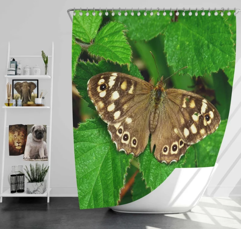 Nature Artistry Butterfly Beauty Shower Curtain