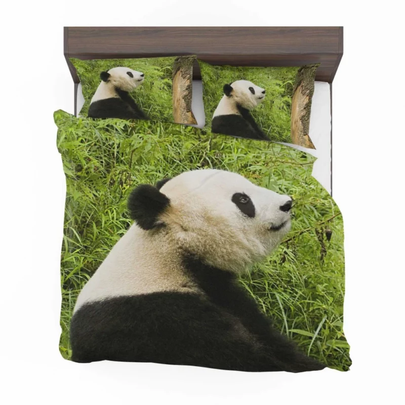 Nature Gem Panda Splendor Bedding Set 1