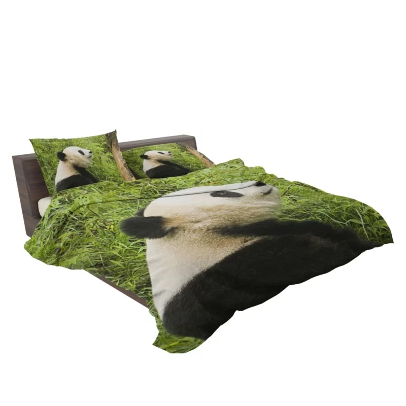 Nature Gem Panda Splendor Bedding Set 2