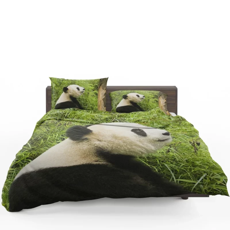 Nature Gem Panda Splendor Bedding Set