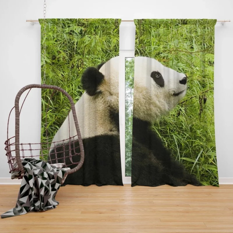 Nature Gem Panda Splendor Curtain