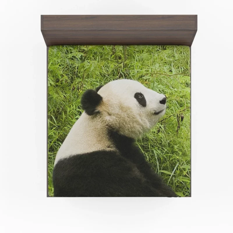 Nature Gem Panda Splendor Fitted Sheet 1