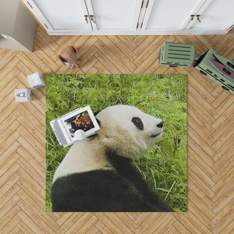 Nature Gem Panda Splendor Rug