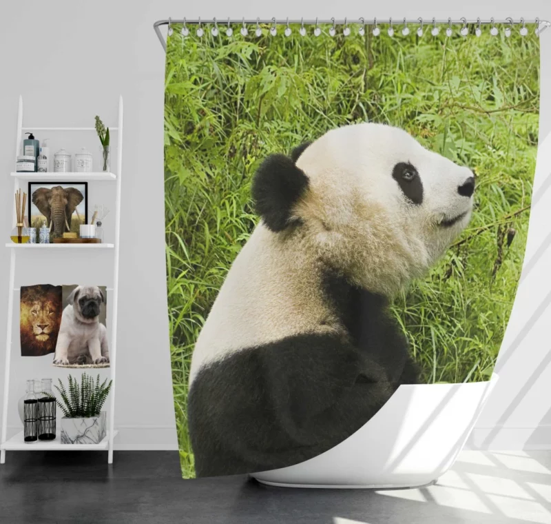 Nature Gem Panda Splendor Shower Curtain