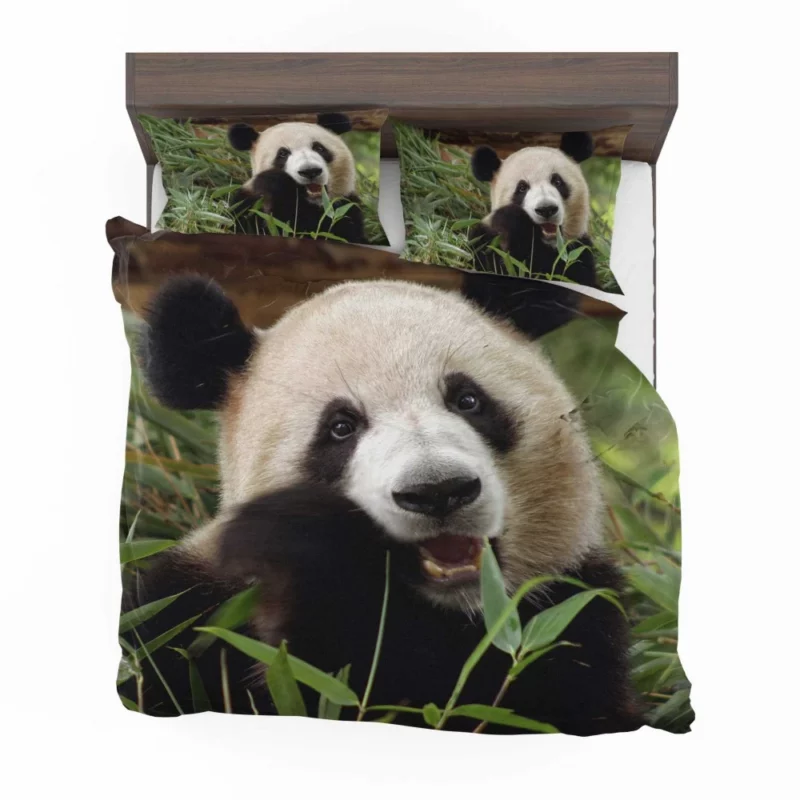 Nature Jewel Splendor of the Panda Bedding Set 1