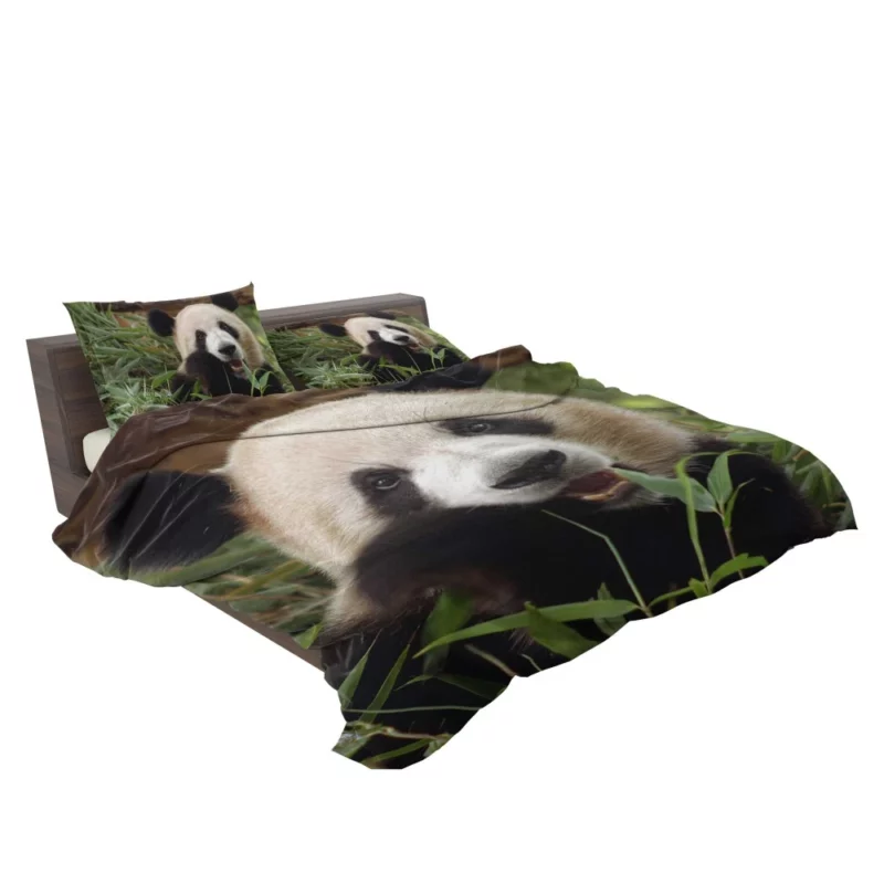 Nature Jewel Splendor of the Panda Bedding Set 2