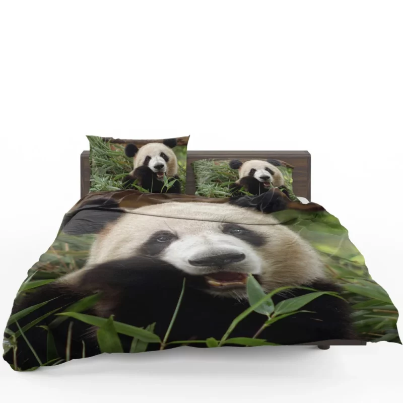 Nature Jewel Splendor of the Panda Bedding Set