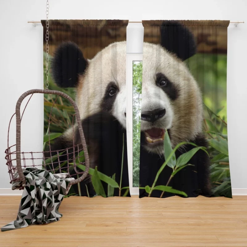 Nature Jewel Splendor of the Panda Curtain