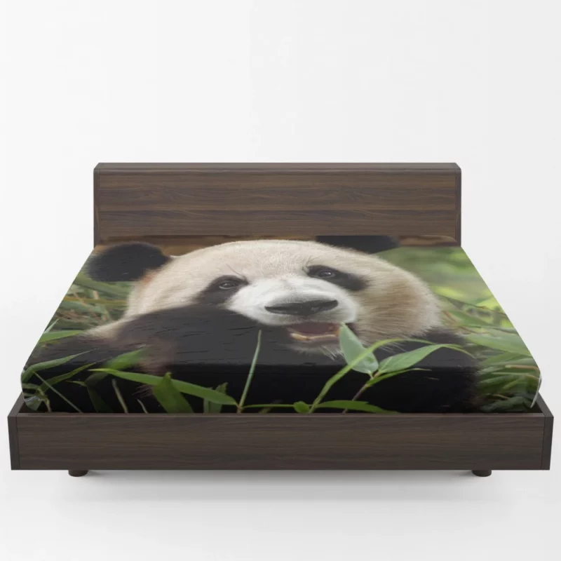 Nature Jewel Splendor of the Panda Fitted Sheet