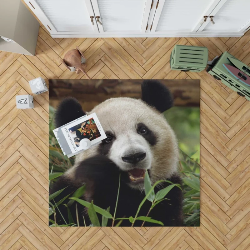 Nature Jewel Splendor of the Panda Rug