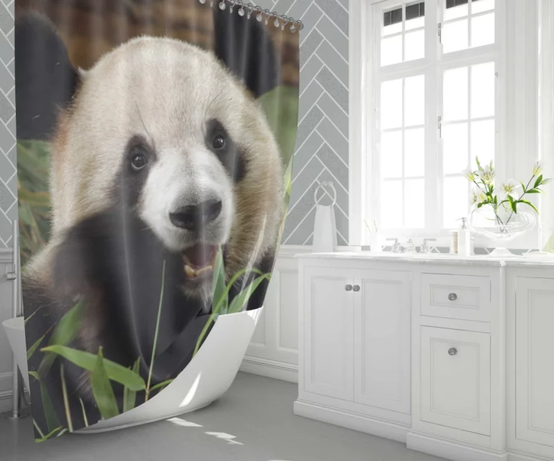 Nature Jewel Splendor of the Panda Shower Curtain 1