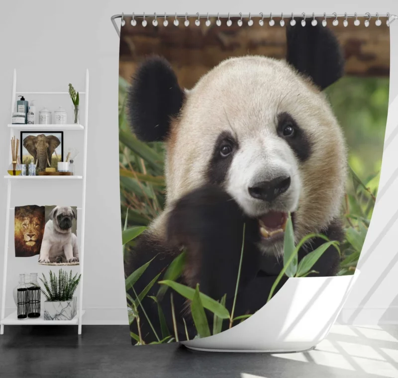 Nature Jewel Splendor of the Panda Shower Curtain