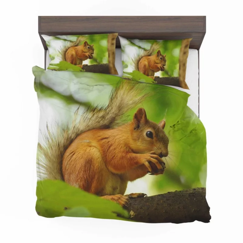 Nature Play Squirrel Acrobatic Feats Bedding Set 1