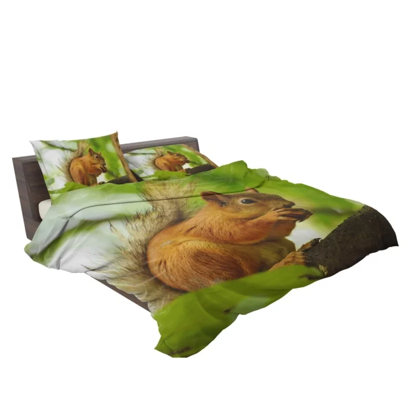 Nature Play Squirrel Acrobatic Feats Bedding Set 2