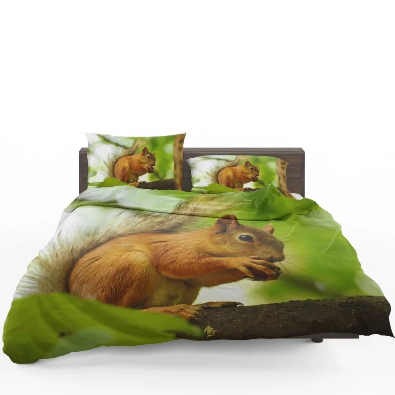 Nature Play Squirrel Acrobatic Feats Bedding Set