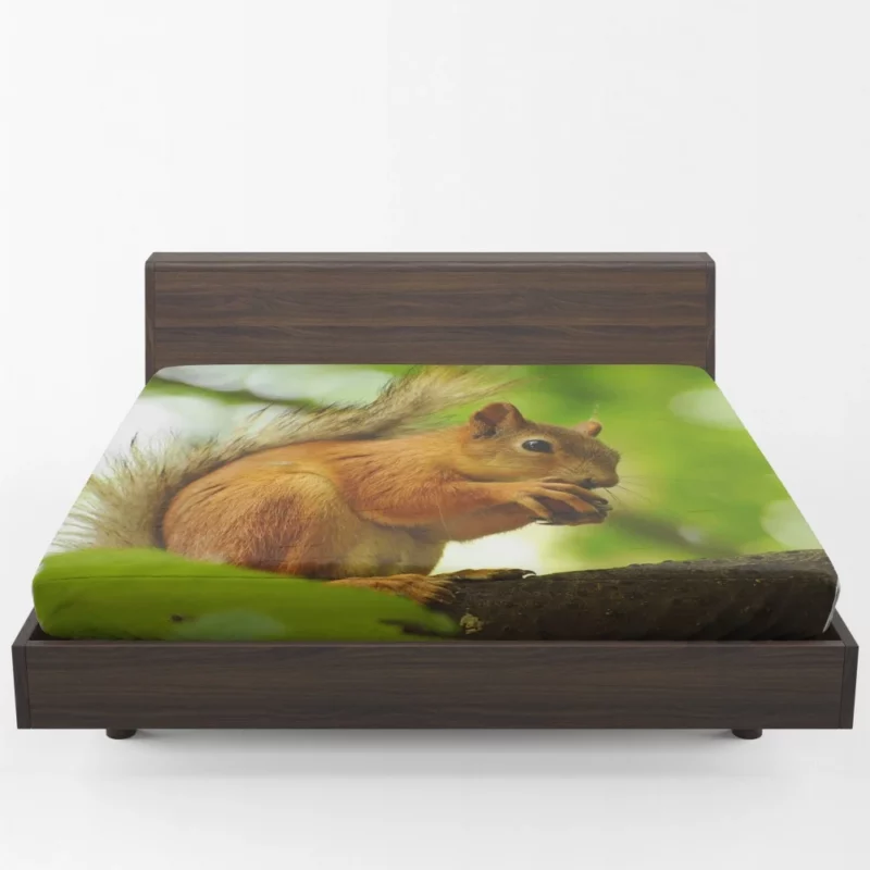 Nature Play Squirrel Acrobatic Feats Fitted Sheet