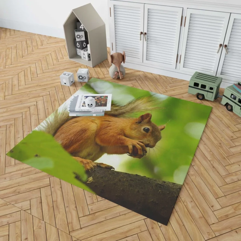 Nature Play Squirrel Acrobatic Feats Rug 1