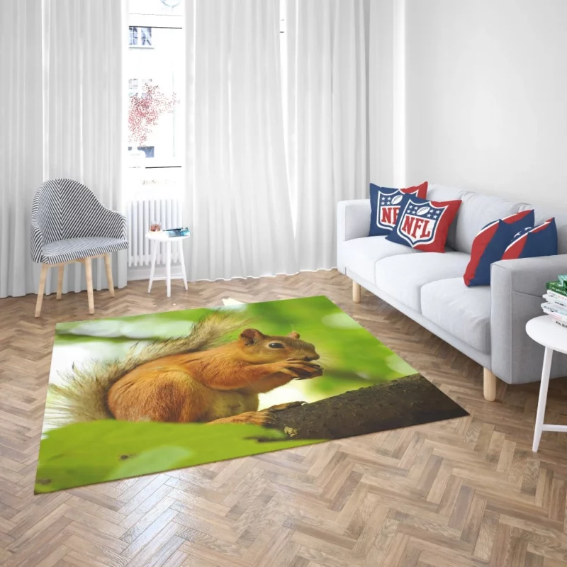 Nature Play Squirrel Acrobatic Feats Rug 2