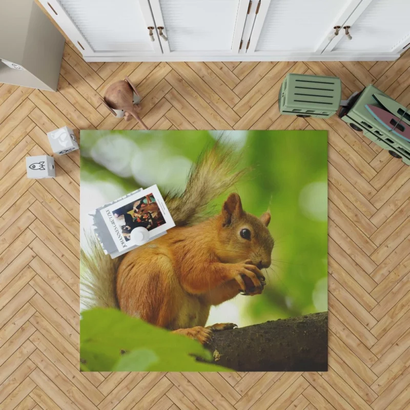 Nature Play Squirrel Acrobatic Feats Rug