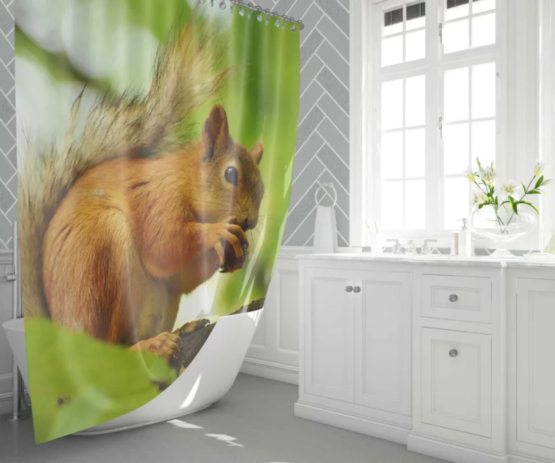 Nature Play Squirrel Acrobatic Feats Shower Curtain 1