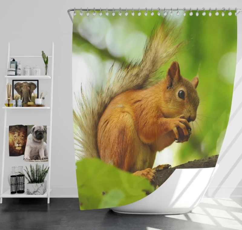 Nature Play Squirrel Acrobatic Feats Shower Curtain