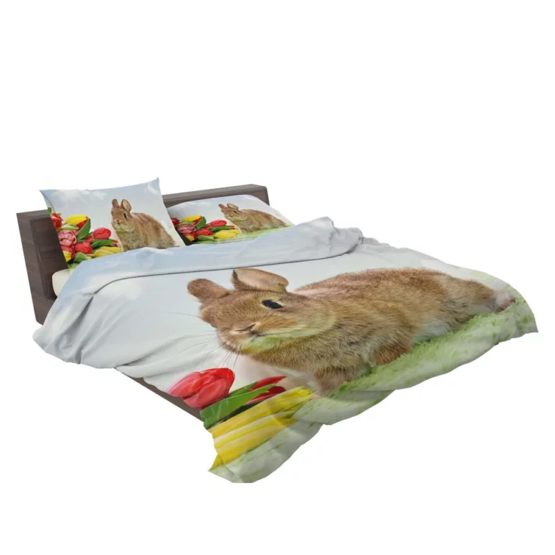 Nature Unveiling Rabbit Curiosity Bedding Set 2