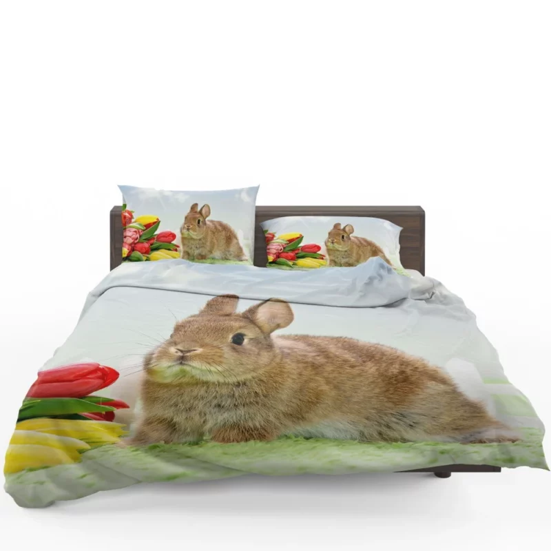 Nature Unveiling Rabbit Curiosity Bedding Set