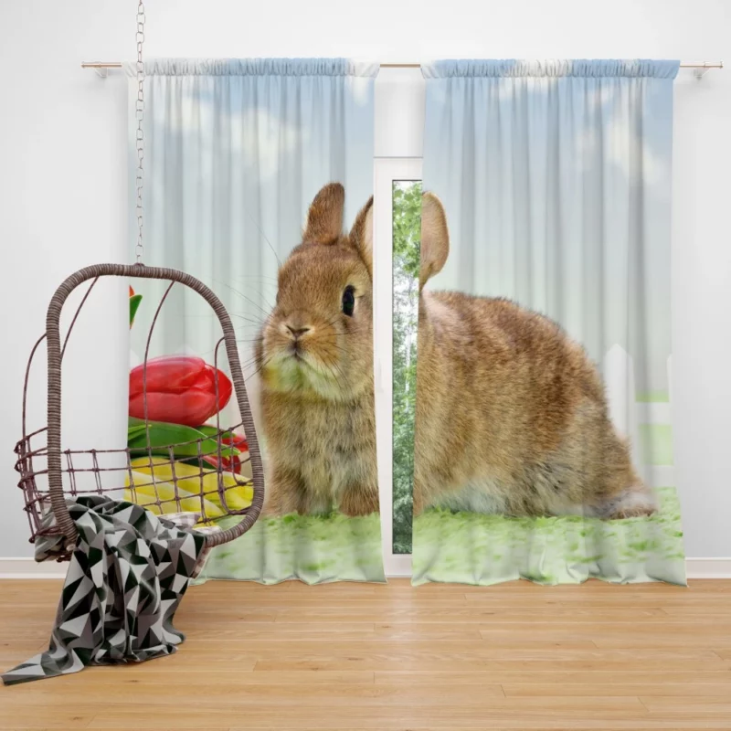 Nature Unveiling Rabbit Curiosity Curtain