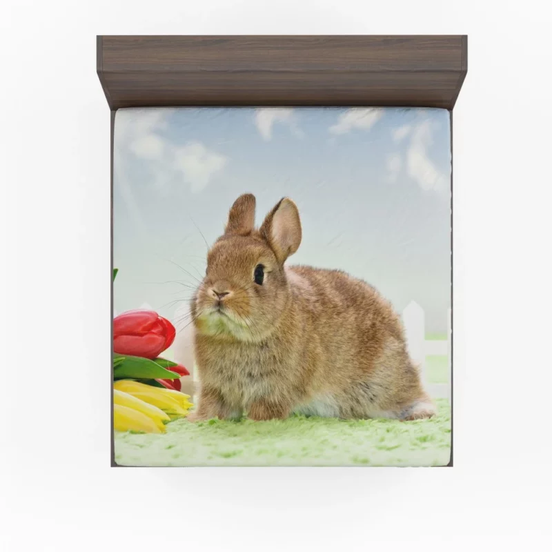 Nature Unveiling Rabbit Curiosity Fitted Sheet 1