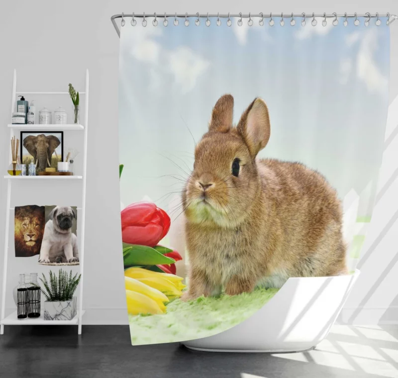 Nature Unveiling Rabbit Curiosity Shower Curtain