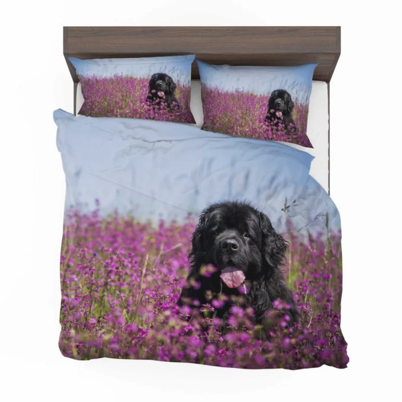 Newfoundland Amidst Purple Blooms Floral Beauty Bedding Set 1