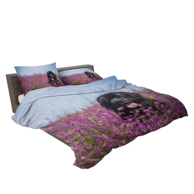 Newfoundland Amidst Purple Blooms Floral Beauty Bedding Set 2