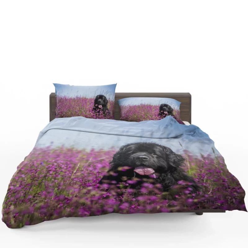 Newfoundland Amidst Purple Blooms Floral Beauty Bedding Set