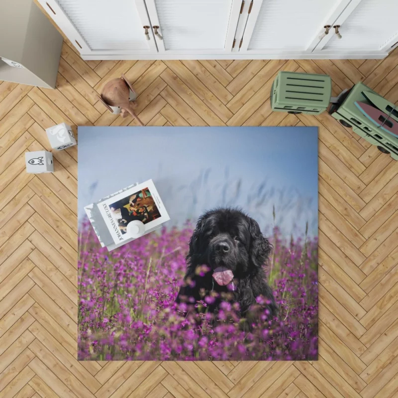 Newfoundland Amidst Purple Blooms Floral Beauty Rug