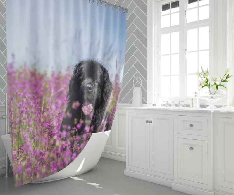 Newfoundland Amidst Purple Blooms Floral Beauty Shower Curtain 1