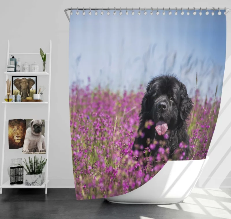 Newfoundland Amidst Purple Blooms Floral Beauty Shower Curtain