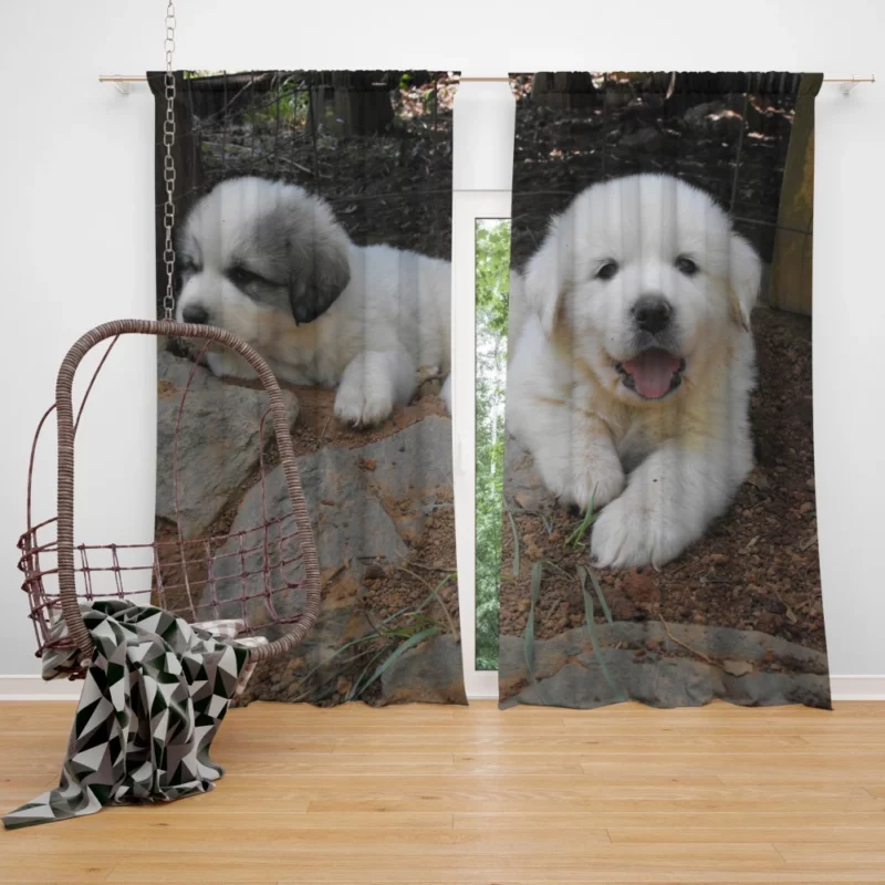 Newfoundland Dog Majestic Presence Curtain