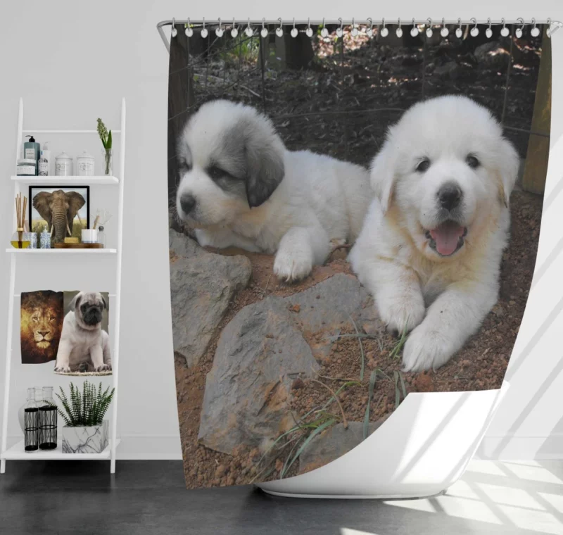 Newfoundland Dog Majestic Presence Shower Curtain