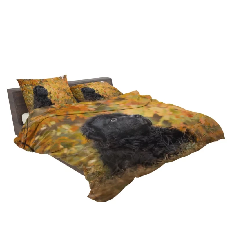 Newfoundland Fall Stroll Majestic Canine Bedding Set 2