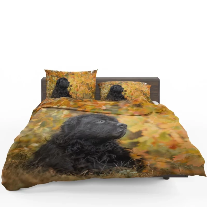 Newfoundland Fall Stroll Majestic Canine Bedding Set