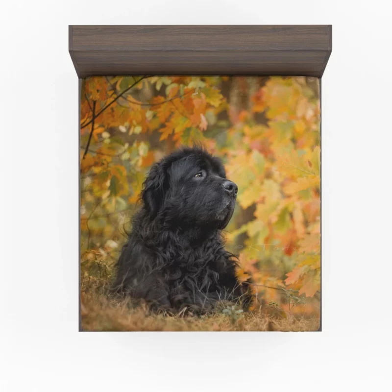 Newfoundland Fall Stroll Majestic Canine Fitted Sheet 1