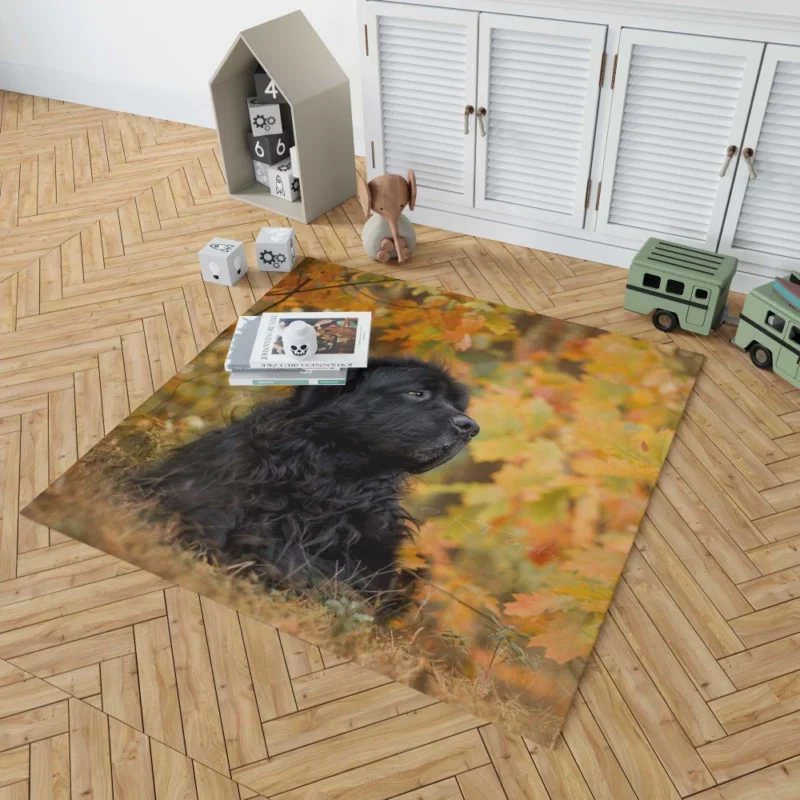 Newfoundland Fall Stroll Majestic Canine Rug 1