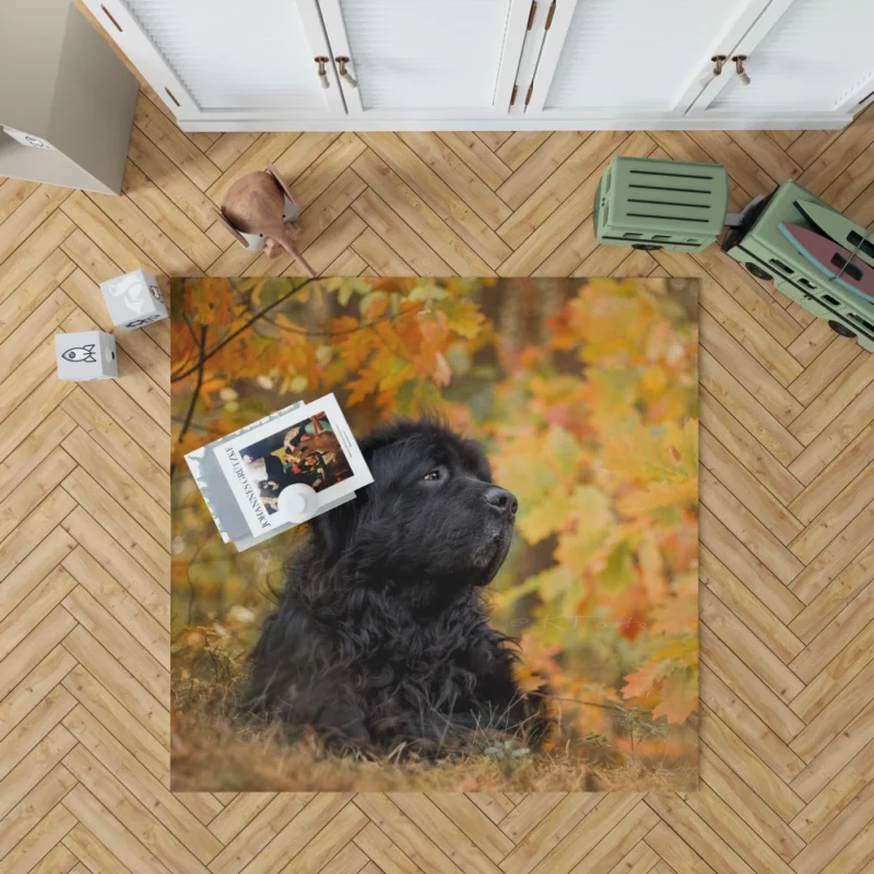 Newfoundland Fall Stroll Majestic Canine Rug