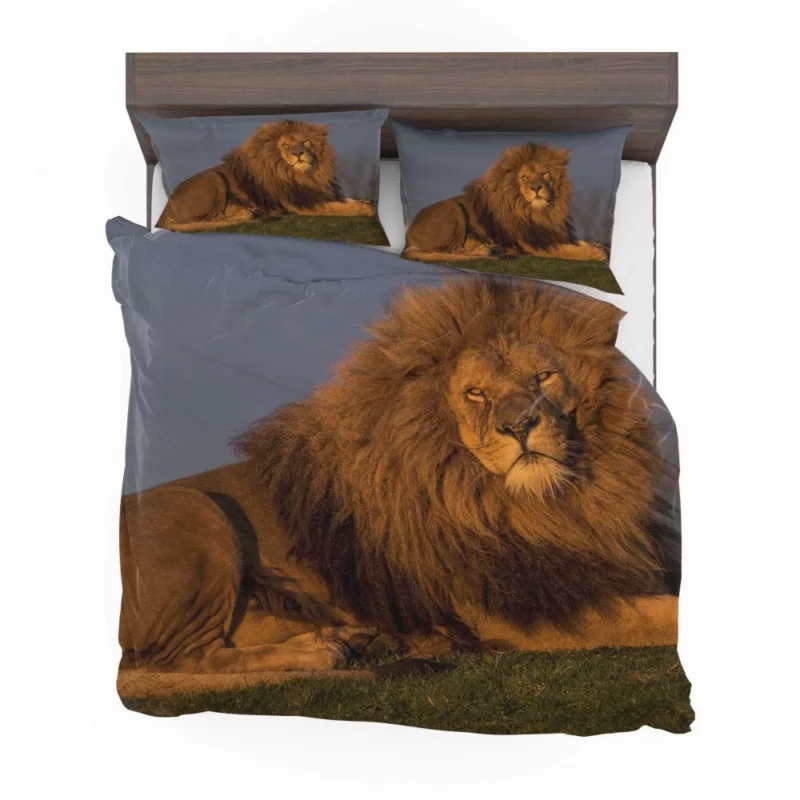 Nighttime Adventure Wolf Howling Majesty Bedding Set 1