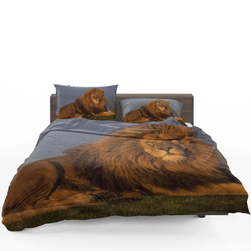 Nighttime Adventure Wolf Howling Majesty Bedding Set