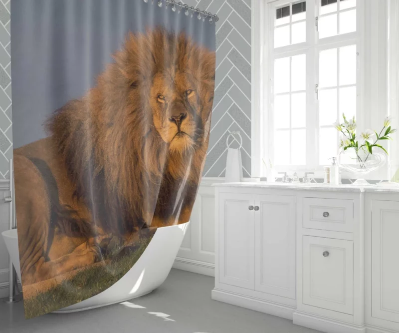 Nighttime Adventure Wolf Howling Majesty Shower Curtain 1