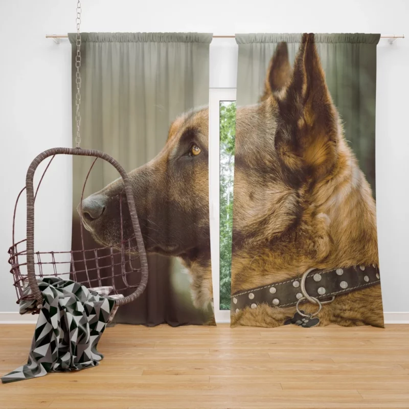 Noble German Shepherd Loyal Guardian Curtain