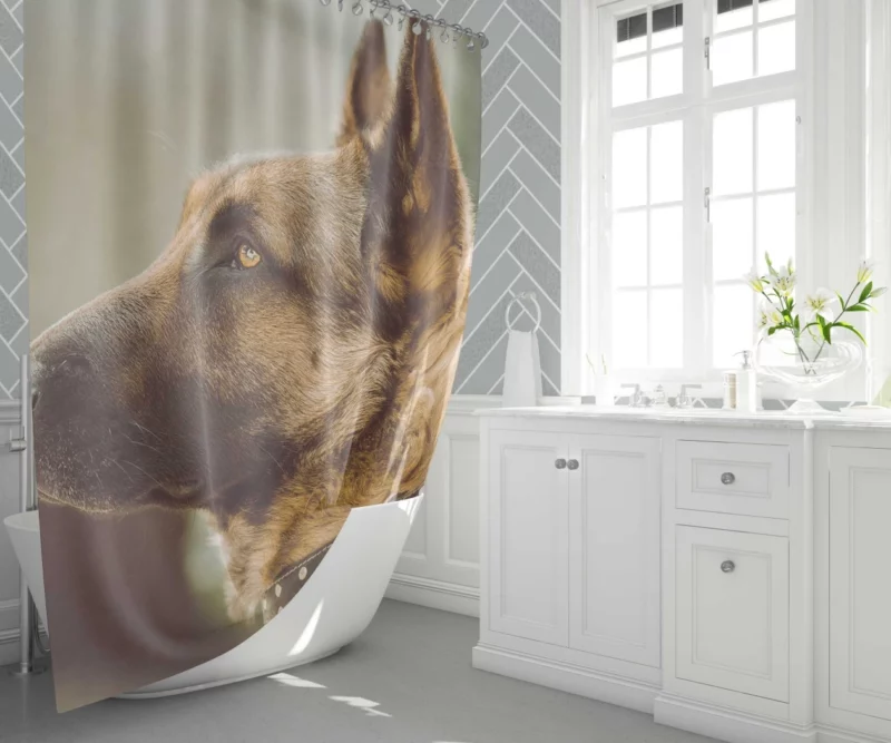 Noble German Shepherd Loyal Guardian Shower Curtain 1